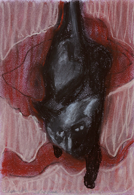 Cat stepping off a&nbsp;table