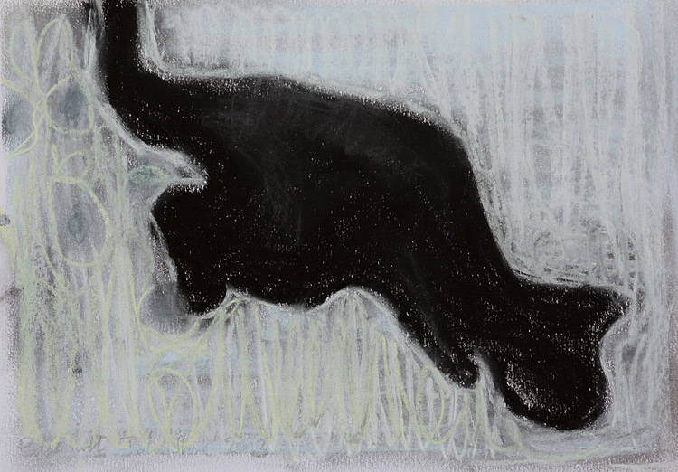 Cat in the&nbsp;snow