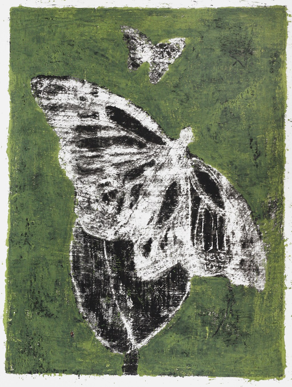 Butterfly 22