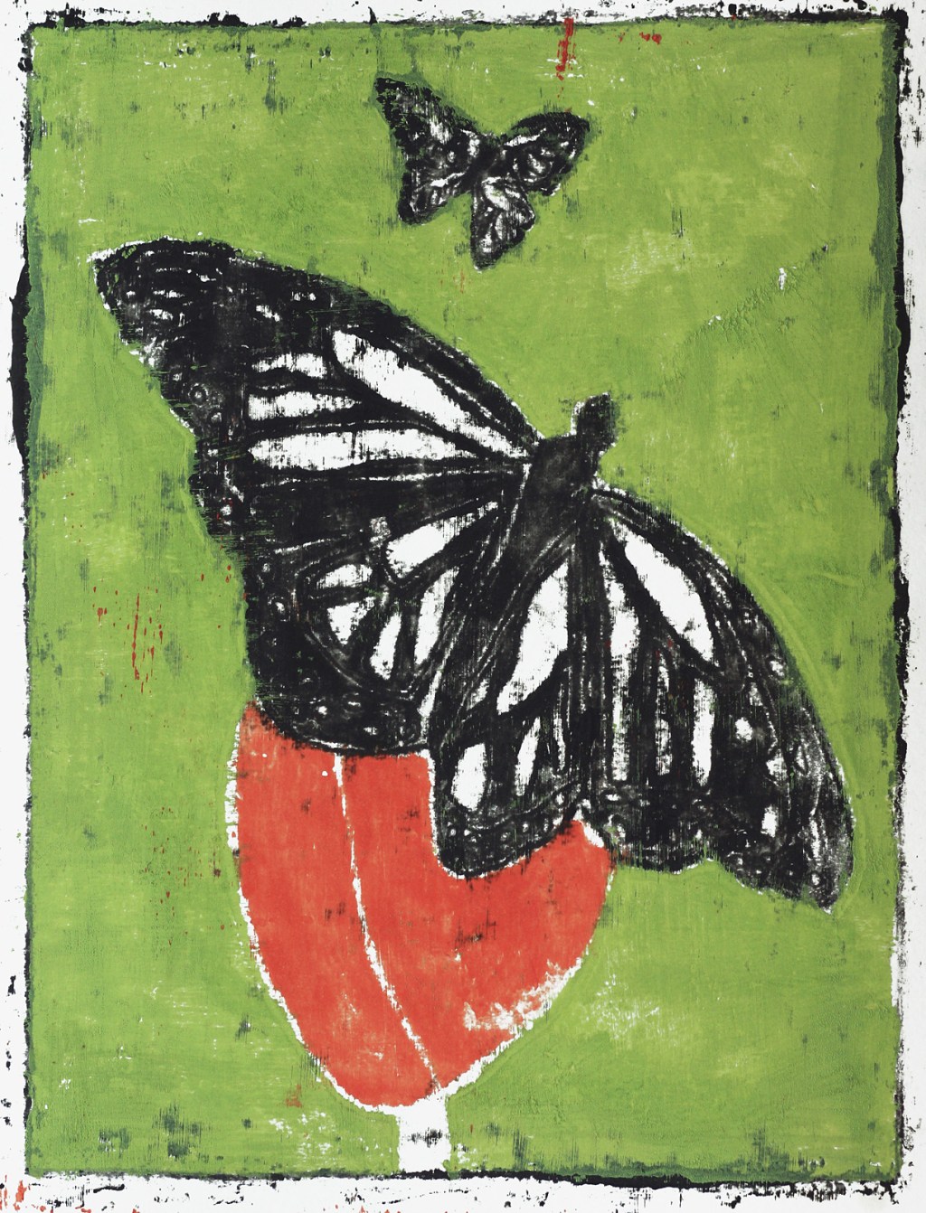 Butterfly 16
