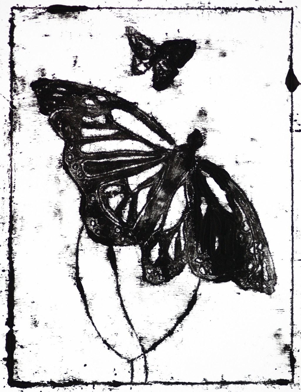 Butterfly 4