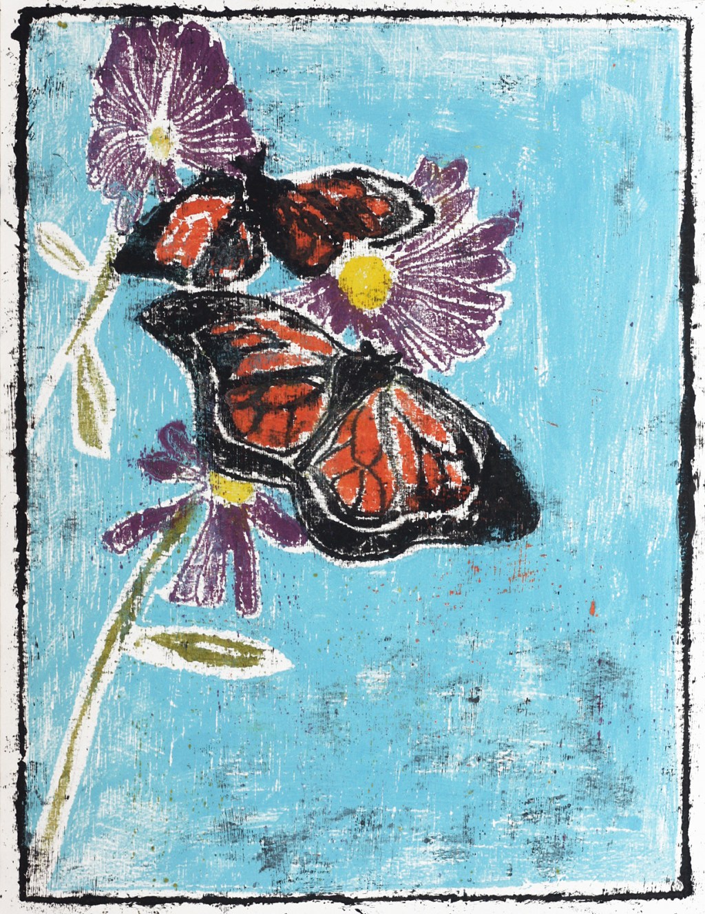 Butterfly 14