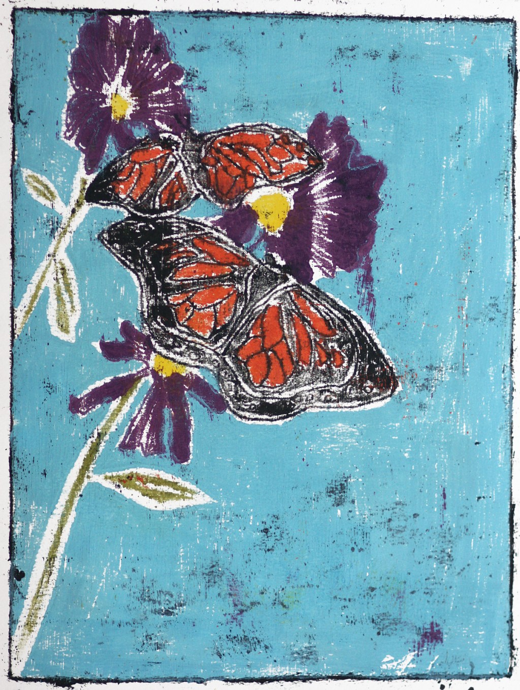 Butterfly 13