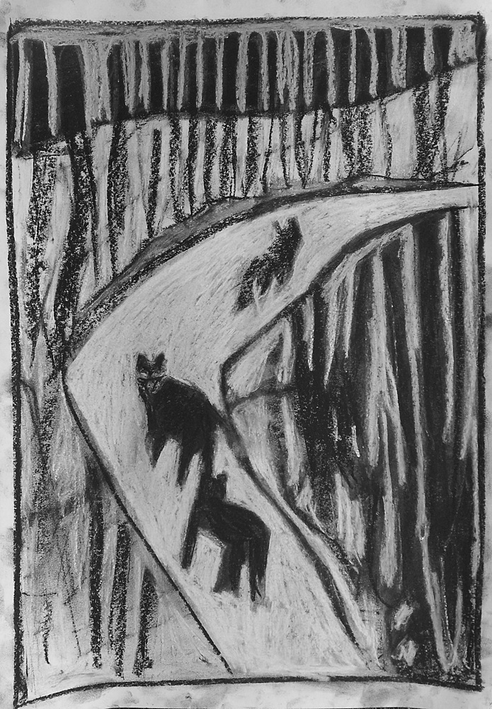 Cats crossing a&nbsp;lake