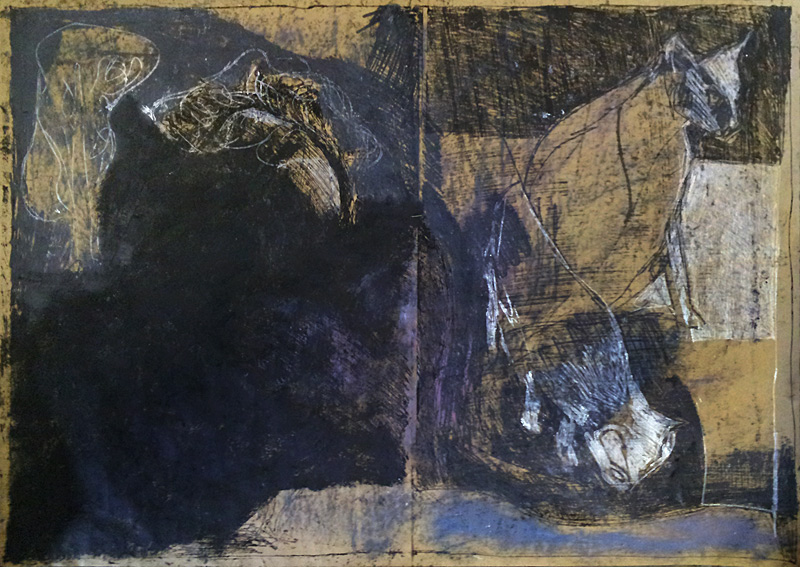 Cats by a&nbsp;river