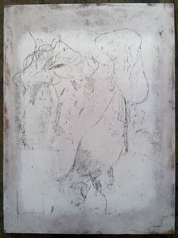 Cat in the&nbsp;snow