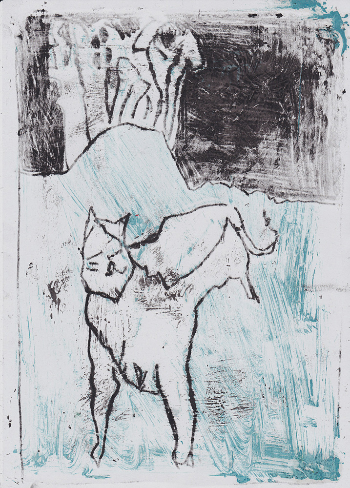 Cat and distant horseman&nbsp;6