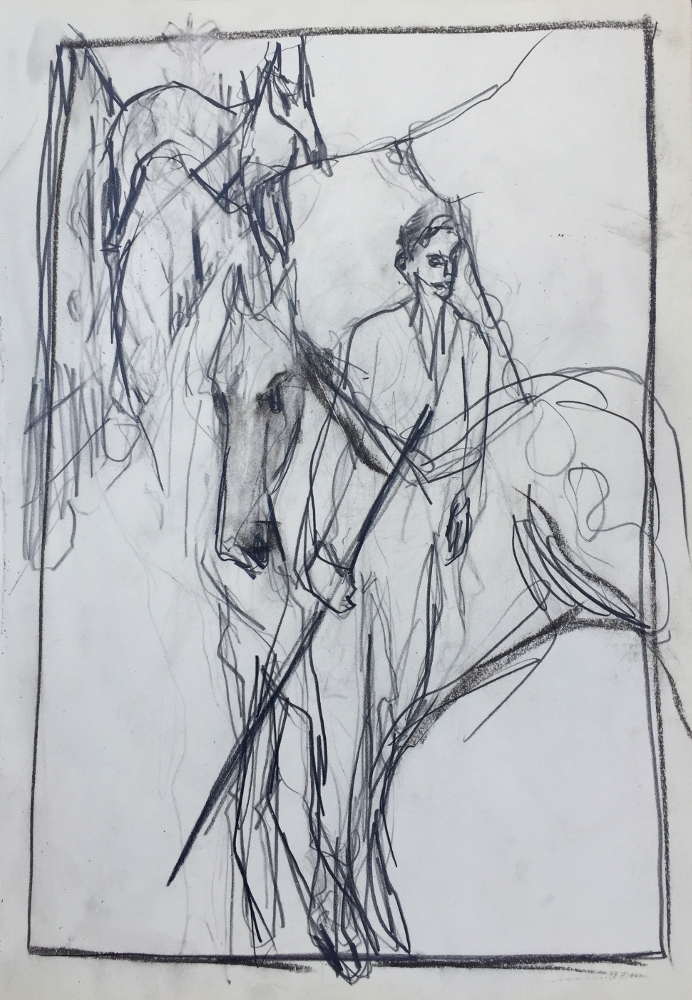 Man and horses on a&nbsp;path