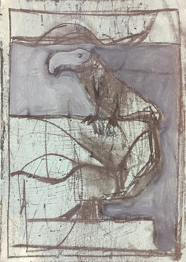 Seagull on a&nbsp;cliff