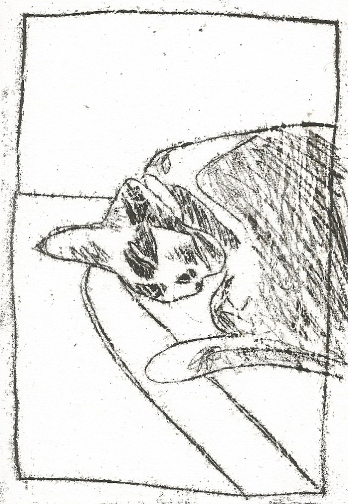 Sleeping cat