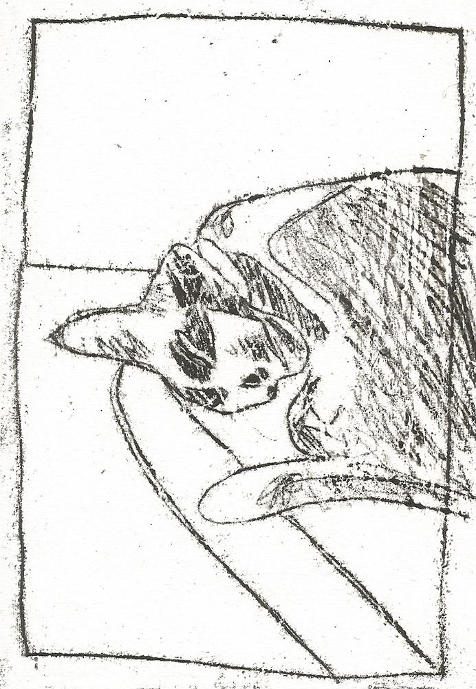Sleeping cat