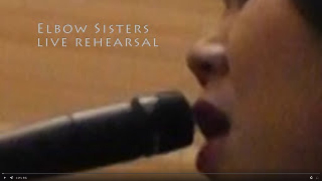 Help me I’m hungry – Vendetagainst – Nirvana cover – Elbow&nbsp;Sisters