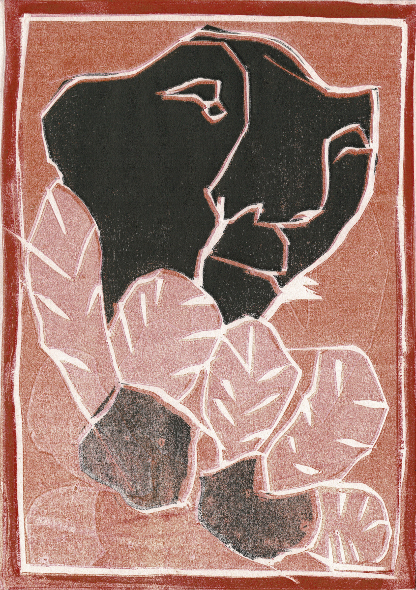 Pack R IWBIAM Block&nbsp;Prints